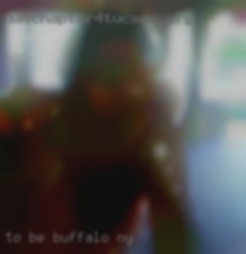 To be a Buffalo, NY  slave for trans women.